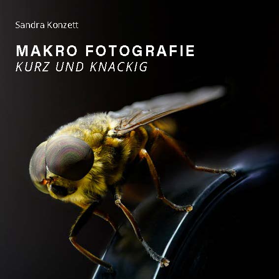 Das Heft zum Workshop